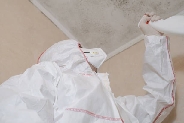 Best Professional Mold Removal  in Mckinney, TX